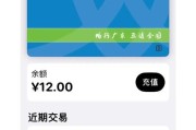 苹果手机下载九刷的正确步骤是什么？