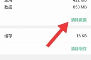 苹果手机如何彻底删除游戏数据？永久清除游戏数据的方法是什么？