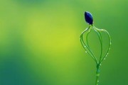 如何通过修改笔记本电脑桌面主题个性化你的电脑（简单步骤帮你打造独特桌面）
