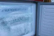 海信冰箱冷藏室不制冷故障解决方法（故障排查和修理技巧）