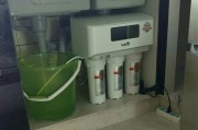 中央净水器的工作原理及安装注意事项（中央净水器工作原理解析）