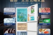 松下冰箱噪音大的原因及解决方法（如何降低松下冰箱的噪音水平）