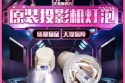 宏基投影仪灯泡x113p通用型号是什么？如何更换？