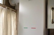 降低壁挂炉噪音的有效方法（让您的壁挂炉安静如初）
