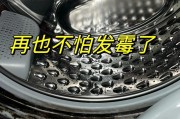 如何清理发霉的洗衣机皮圈（简单有效的洗衣机皮圈清理方法）