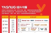 爱客多壁挂炉e1故障怎么处理？常见问题及解决方法是什么？
