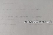 复印机打印字迹模糊小怎么办？可能原因及解决方法是什么？