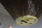 清洗油烟机固化油泥的有效方法（打造清洁厨房的必备技巧）