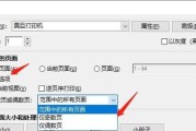 打印机奇偶数设置方法是什么？遇到问题如何解决？