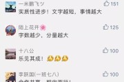 苹果手机循环计数269含义是什么？