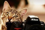 猫躲相机镜头的常见原因有哪些？