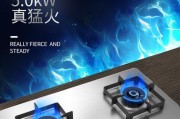 苏泊尔燃气灶点火后松手就熄灭的原因及解决方法（安全使用苏泊尔燃气灶）
