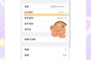 苹果手机如何开启漫游功能？