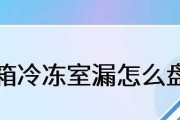 解析冰箱盘管的维修方法（了解冰箱盘管故障及维修步骤）