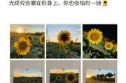 向日葵电脑声音同步到手机的步骤是什么？