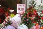 手机庆典拍照技巧视频拍摄方法是什么？