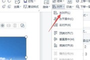 以WPS文字竖排为主题的排版创意（探索文字排版的新领域——WPS竖排）