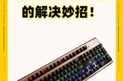键盘失灵的原因与解决方法二（常见键盘故障及应对方案）