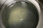 洗衣机不自动进水的原因及解决方法（揭秘洗衣机不进水的十五个可能原因）