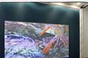 投影仪颜色偏绿怎么调整？调整方法是什么？