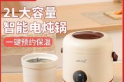 电饭煲跑气的原因与解决方法（电饭煲跑气如何防止）