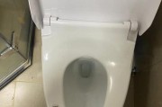 马桶异味问题的解决方法（打造清新舒适的卫生空间）