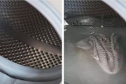 如何正确清洗滚筒洗衣机皮圈（掌握正确的清洗方法）