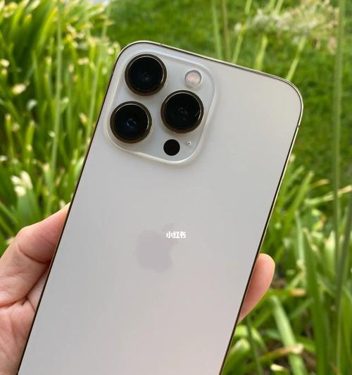 苹果13与Pro（揭秘苹果13和Pro之间的区别）