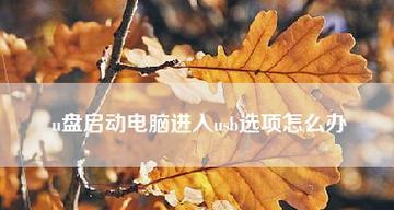 如何将U盘设置为计算机的第一启动项（详细教程和步骤）