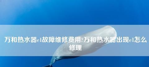 万和热水器出现E4故障代码的维修方法（了解E4故障代码及如何解决）