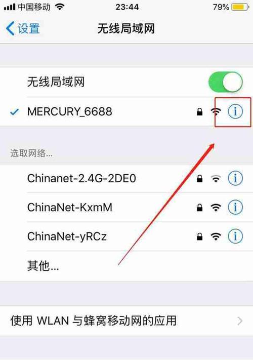 家里WiFi满格网速很慢的原因（揭秘家庭网络信号异常的问题及解决方案）