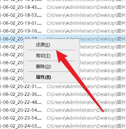 如何恢复被直接删除的大文件（利用专业工具和备份文件进行文件恢复）