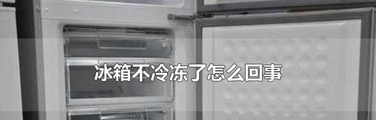冰箱共振（了解冰箱共振的危害与应对之策）