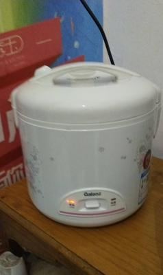 电饭煲煮饭无水的原因及解决方法（探究电饭煲煮饭无水的影响与对策）