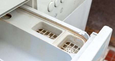 西点放冰柜发霉的原因及预防措施（揭秘西点在冰柜中发霉的关键原因以及如何有效预防）