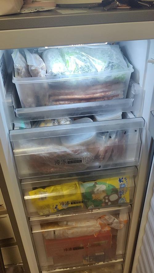 如何解决检修单门冰箱不制冷的问题（掌握冰箱维修技巧）