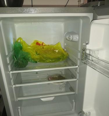 电冰箱保鲜室出水的原因及处理方法（保鲜室出水的解决办法）