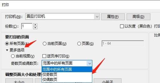 打印机奇偶数设置方法是什么？遇到问题如何解决？