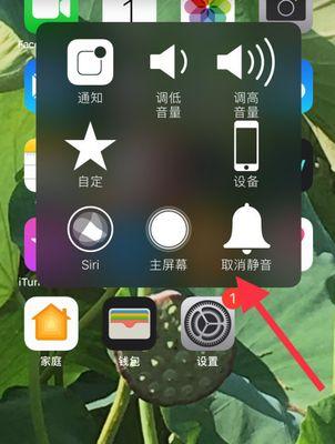 苹果56手机拍照设置推荐？如何优化拍摄效果？
