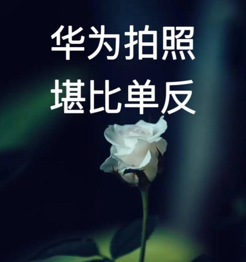 手机快速拍照的操作方法是什么？