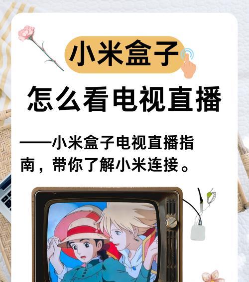双机顶盒电视应用安装步骤是什么？