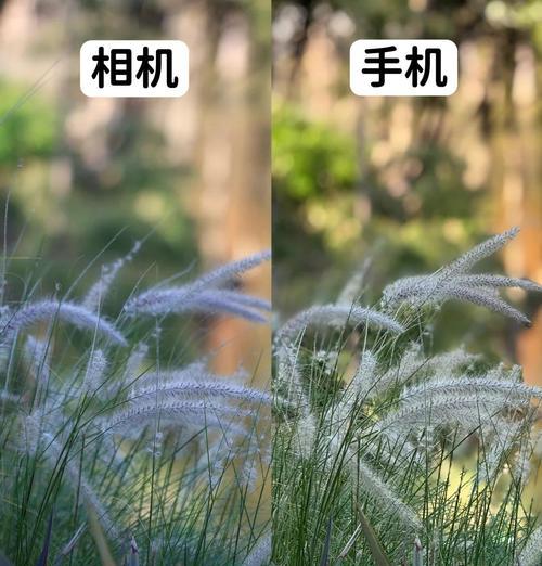 小镜头拍相机设置技巧有哪些？如何拍出高质量照片？