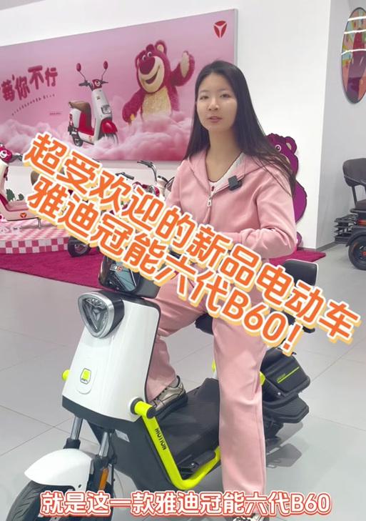 雅迪b60电动车需要什么充电器？如何匹配正确的充电器？