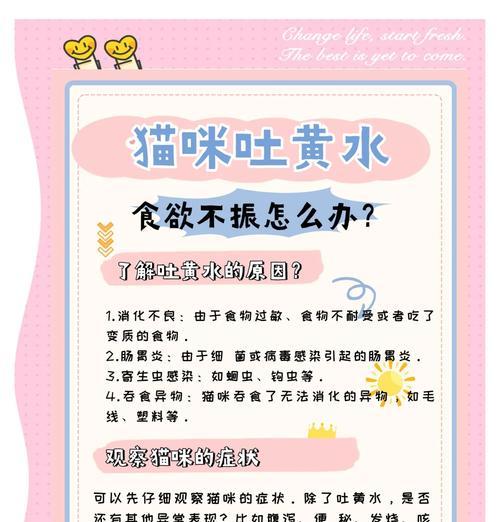 热水器水被猫喝后会中毒吗？原因是什么？