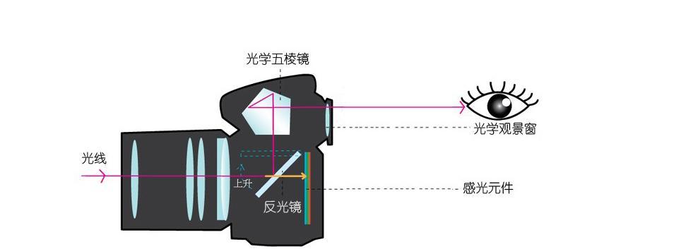 无镜头相机的工作原理是什么？这种相机有何特点和用途？