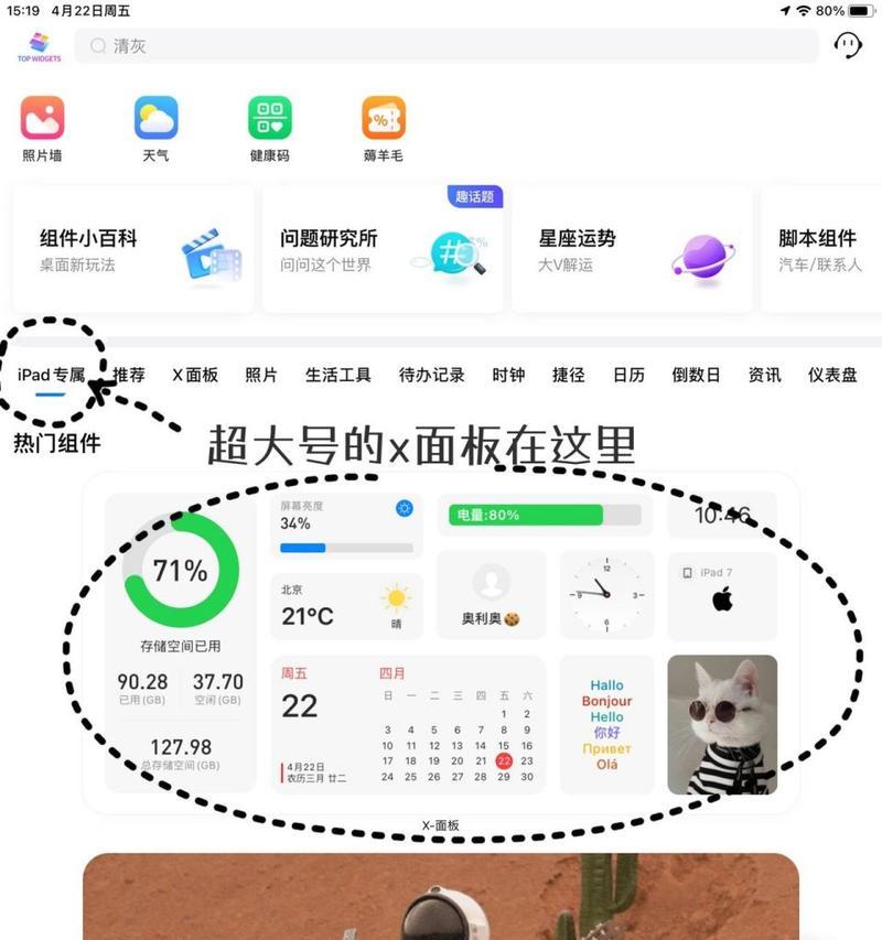 苹果平板通用控制设置方法是什么？如何自定义控制选项？