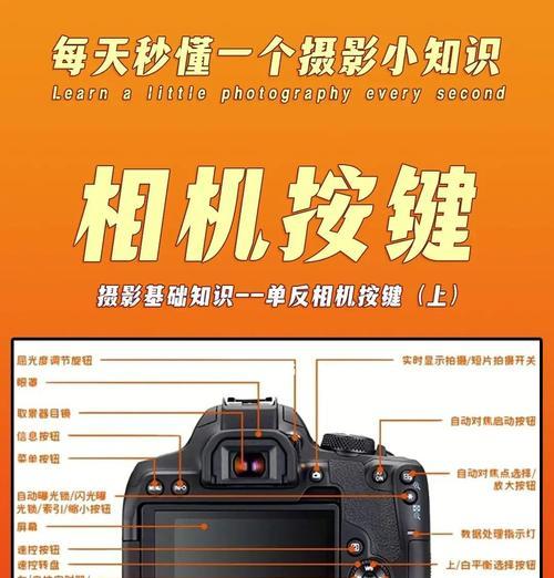 如何设置佳能相机的替代应用？