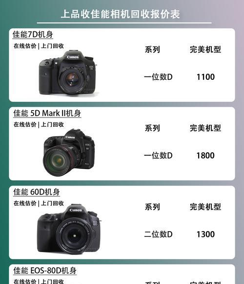如何设置佳能相机的替代应用？