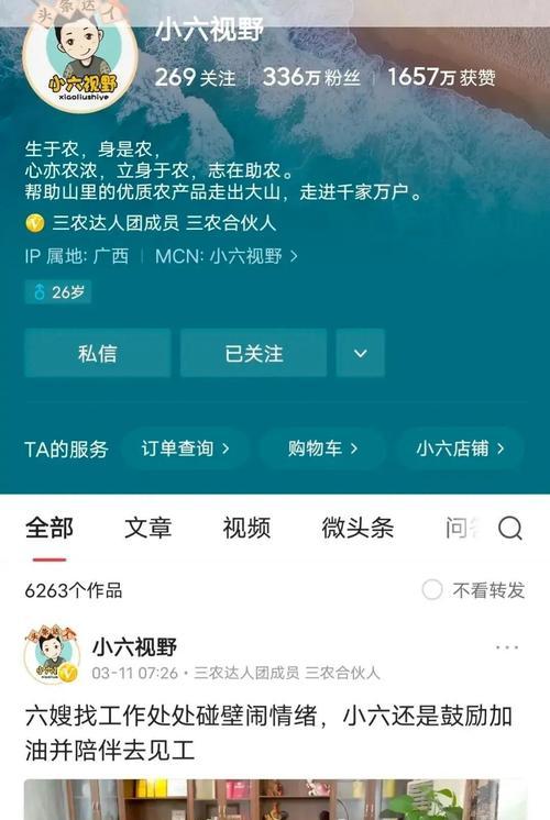 苹果手机循环计数269含义是什么？